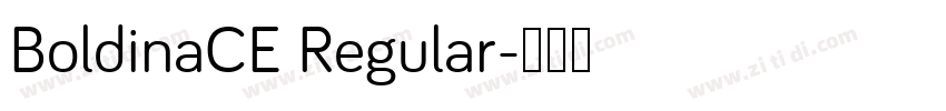 BoldinaCE Regular字体转换